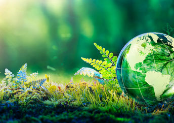 Save the envionment.