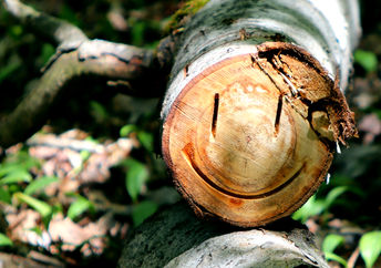 Smiley face carved on log to highlight sustainability