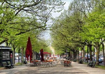 Unter den Linden, named for the linden tree,  boulevard in Berlin, Germany.
