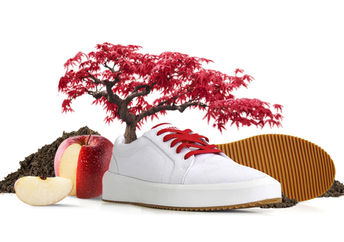 This shoe has a biodegradable sole containing a seed that grows into a tree once planted.
