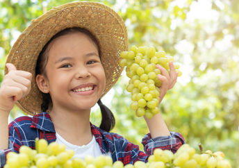 A young girl in a vineyard holds up bunches of green grapes.