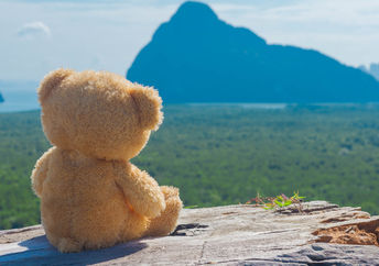 Lost teddy bear awaiting its owner.