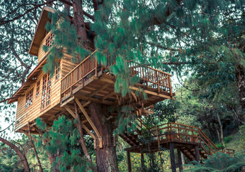 A treehouse in the woods.