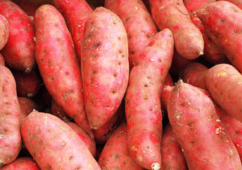 This bright orange vegetable is bursting with health benefits.