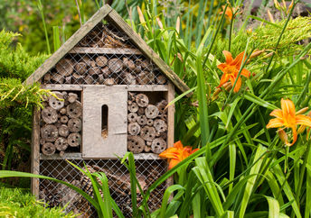 A bee hotel in a garden hosts pollinators.
