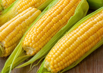 Sweet corn is delicious and good for you.
