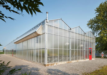 Enjoy seeing your food grow while you eat.