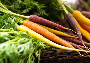 Carrots in a basket.