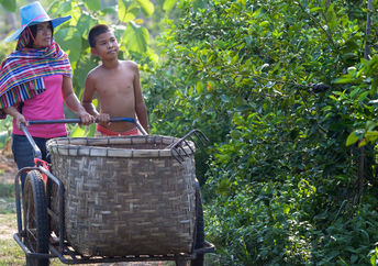Walking in the garden.