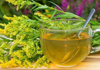 Brew some goldenrod tea for health benefits.