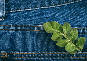 A pair of sustainable jeans with green leaves in the back pocket.
