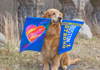 Remembering Spencer the official dog of the Boston Marathon.