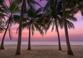 Sunset on a Caribbean Island.