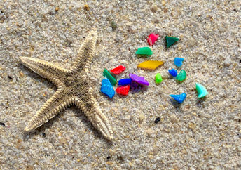 Starfish and microplastics on a beach.