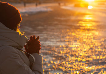 Enjoying the sunlight on the darkest day of the year.
