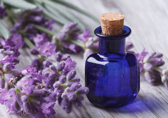 Lavender essential oils can help your memory.