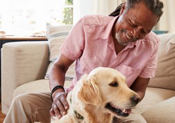 Senior man sitting on sofa at home with pet labrador dog.
