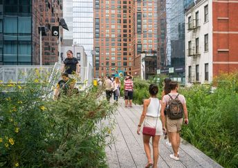 New York’s High Line.
