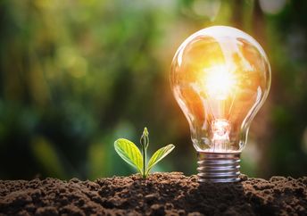 Electricity from soil.