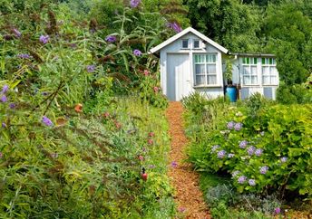 A tiny cottage in an idyllic Koloniträdgårdar garden.