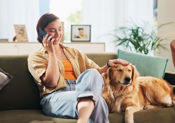A woman sits on a sofa petting a dog while talking on the phone.
