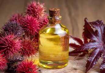 Castor oil bottle with castor fruits, seeds, and leaf.