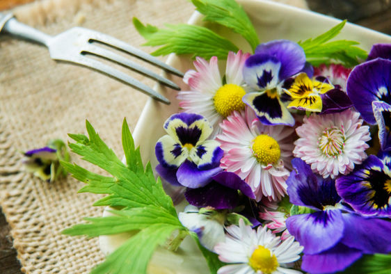 Edible Flowers for Drinks - Flowers You Can Eat