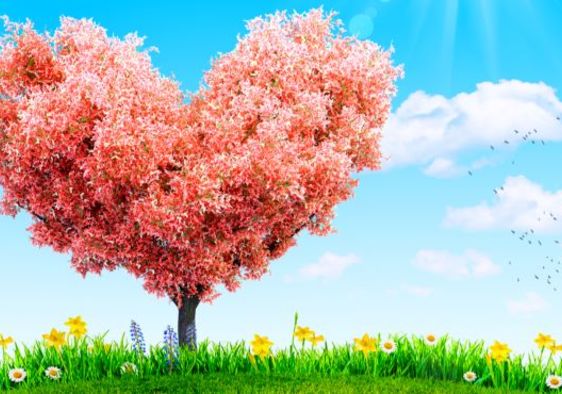 Green grass and spring flowers by tree in the shape of a heart to represent giving help to others.