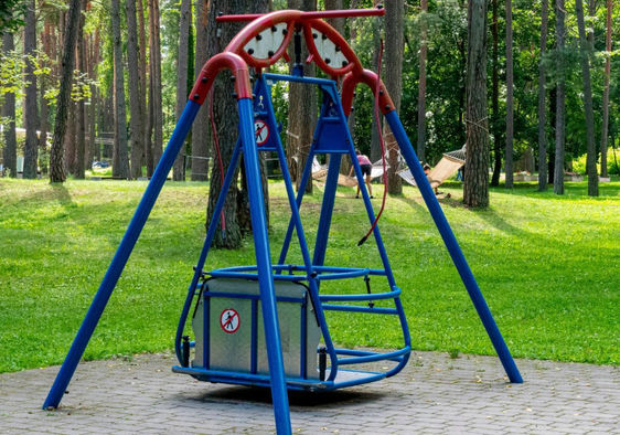 wheelchair swing set