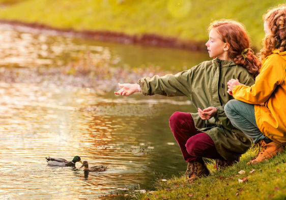 Two young girls feed ducks at a pond.