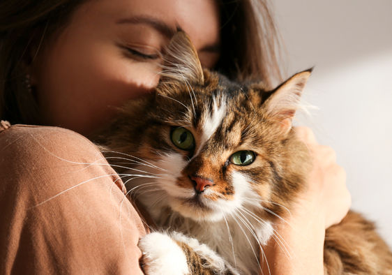 Woman cuddling a cute cat.