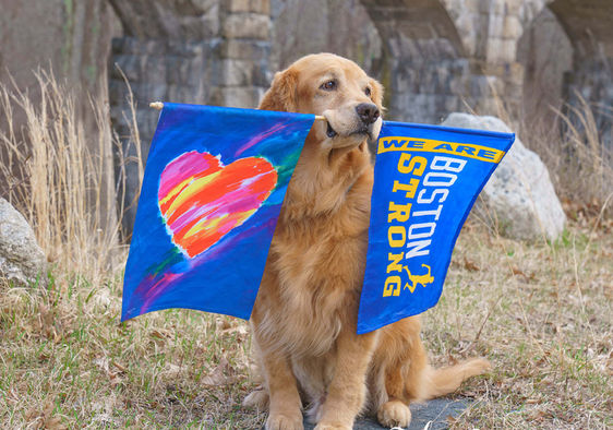 Remembering Spencer the official dog of the Boston Marathon.