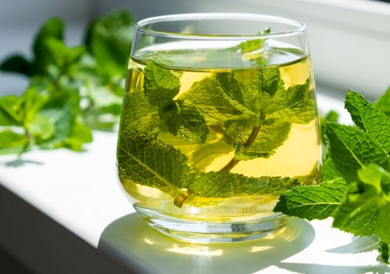 Mint water is good for your health.