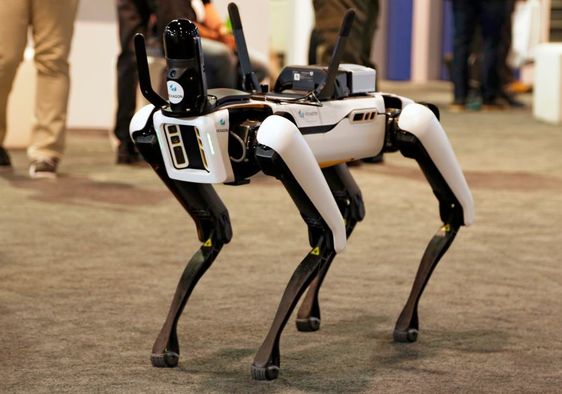 Robot dog prototype.