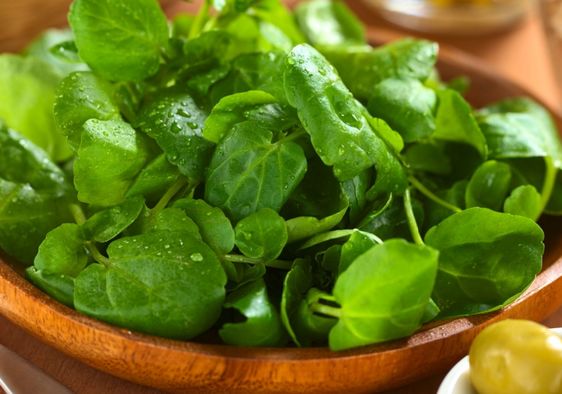 Watercress salads are good for you.
