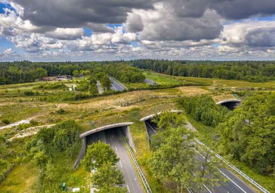 Aerial view of a wildlife overpass.
