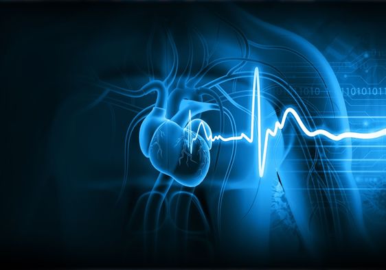 An illustration of a human heart with an ECG (electrocardiogram) graph.