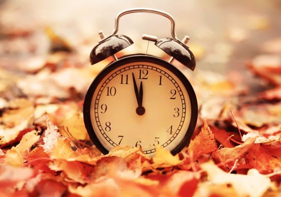 Turn your clocks back in the fall.