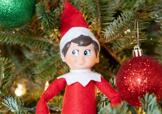 Hiding the Elf on the Shelf on a Christmas tree.