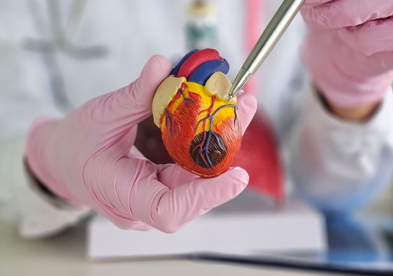 Cardiologist explaining heart disease to a patient.