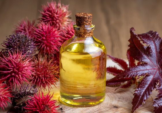 Castor oil bottle with castor fruits, seeds, and leaf.