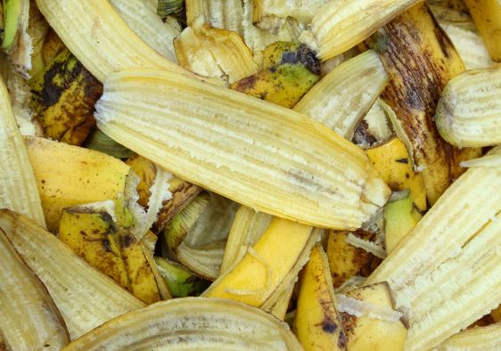 A close up of banana peel.