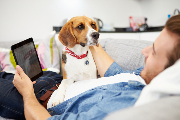 A man with his dog laying on the couch using a tablet