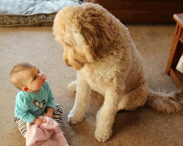 Cute photo of baby with pet dog