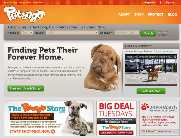 24 hour dog pound near me