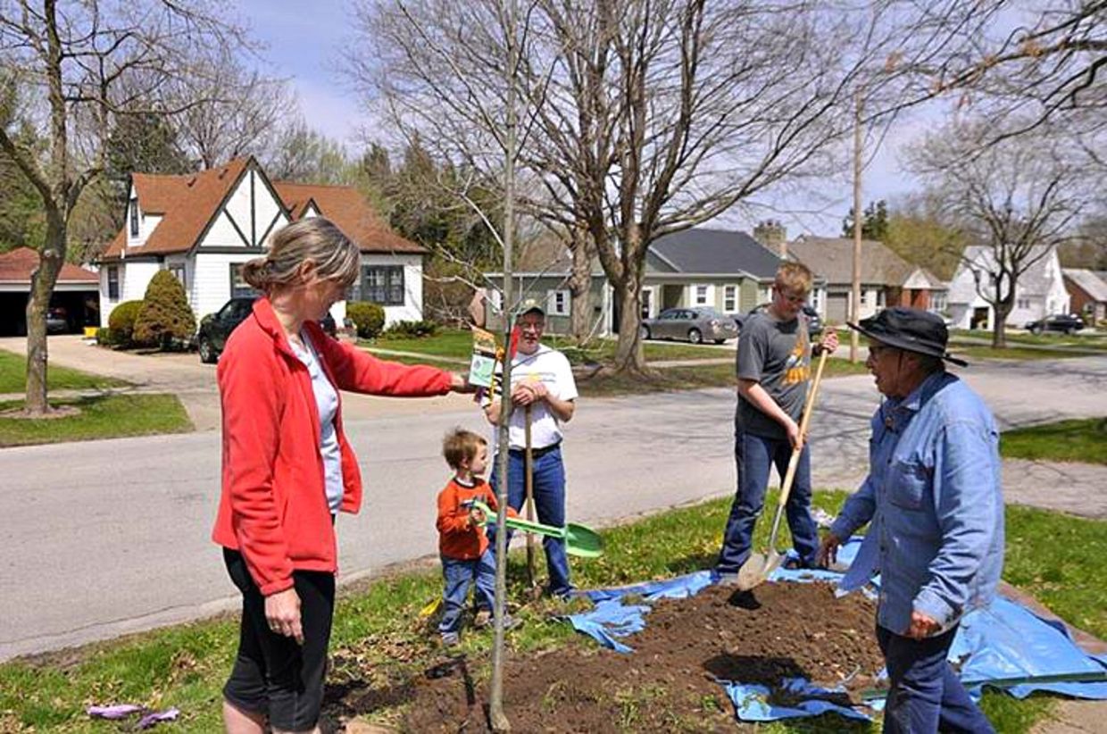 Tree planting activity with Nextdoor members