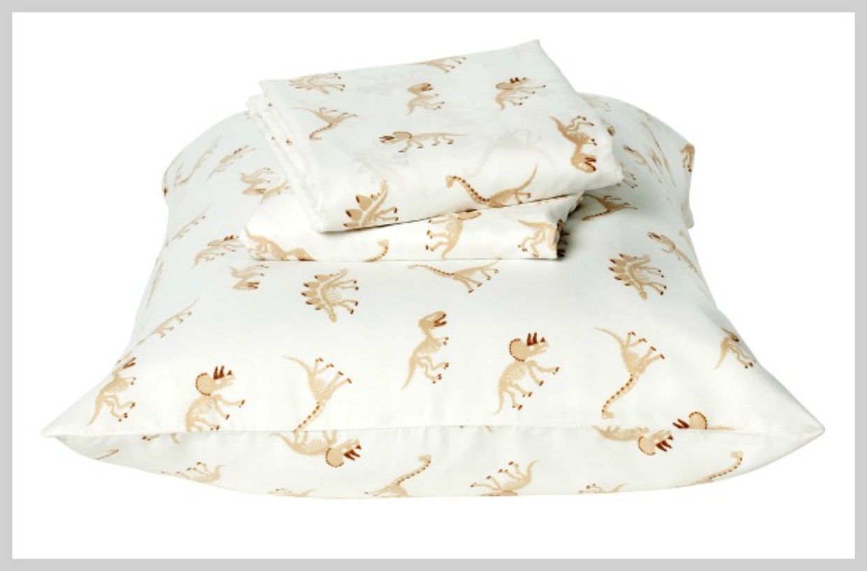 target dinosaur blanket