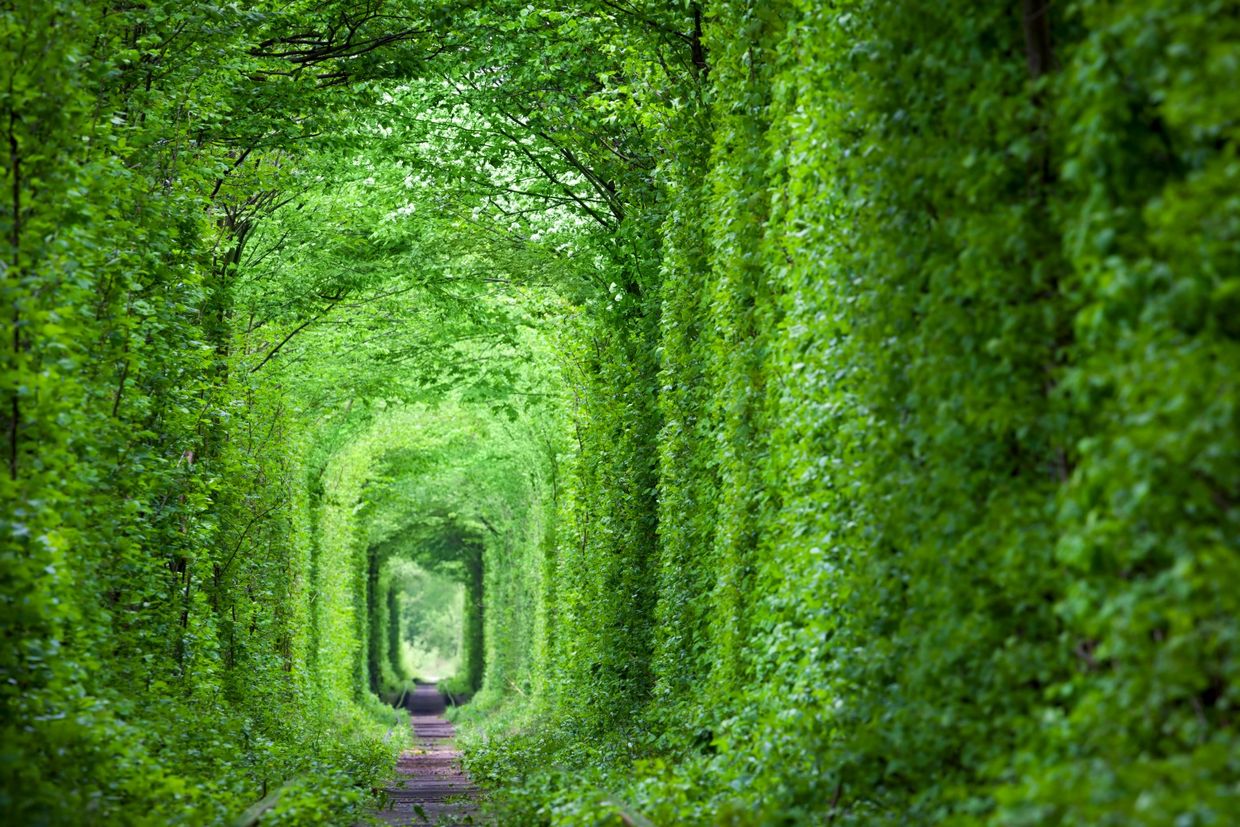 Tunnel of Love