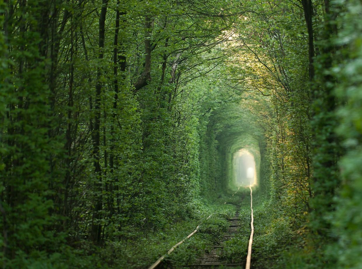 Tunnel of Love