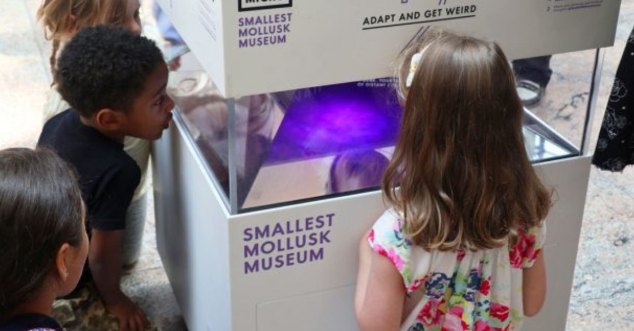 The holographic aquarium in MICRO's Smallest Mollusk Museum